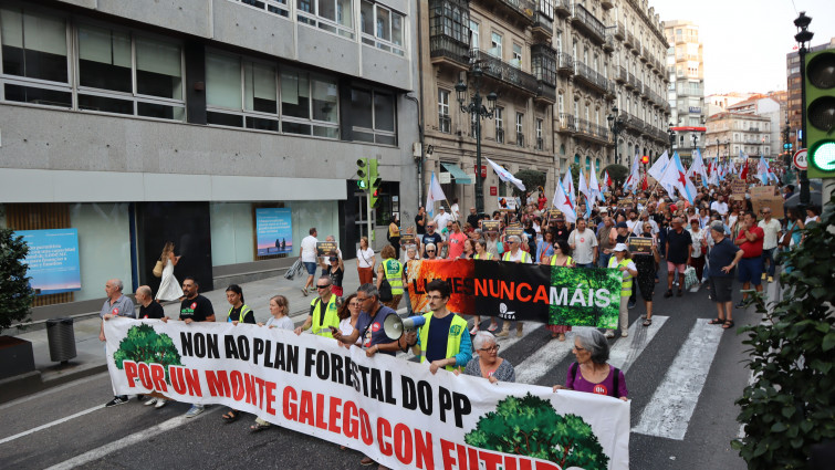 Miles de manifestantes exigen la dimisión de Rueda por la gestión de los incendios que han arrasado 