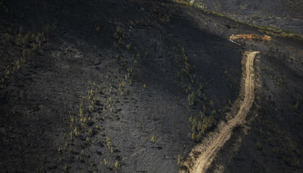 Vista aérea tras el incendio, a 20 de agosto de 2025, en Laza, Ourense, Galicia (España).