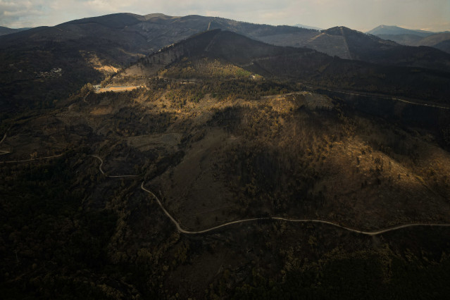 Vista aérea tras el incendio, a 20 de agosto de 2025, en Cernego, Ourense, Galicia (España).