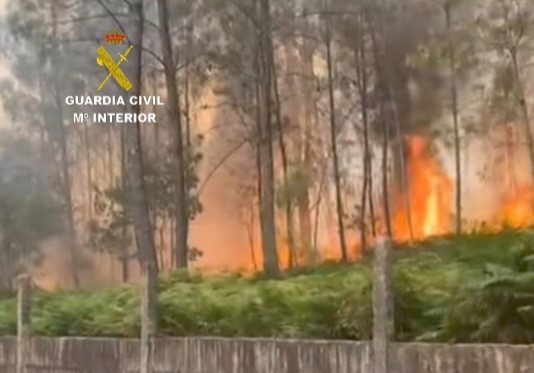 Incendio en el monte Codesal, en Salvaterra do Miño, por el que se investiga a dos hombres como presuntos autores.