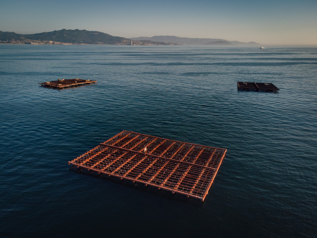 Archivo - Varias bateas para pescar mejillones en Pontevedra, Galicia (España)