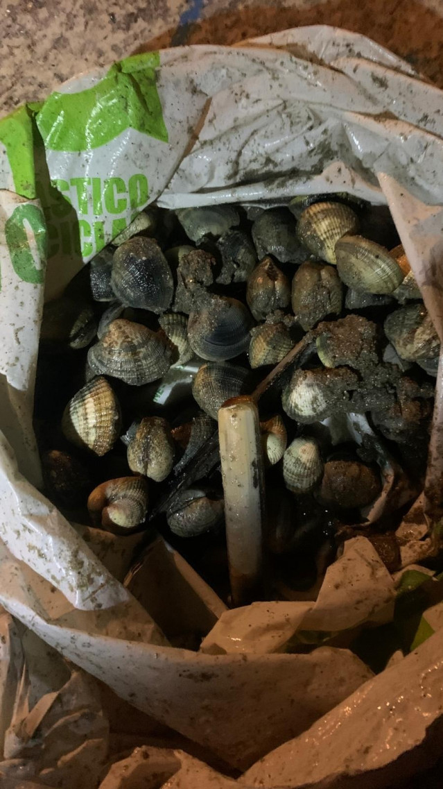 Archivo - Imagen del marisco interceptado.