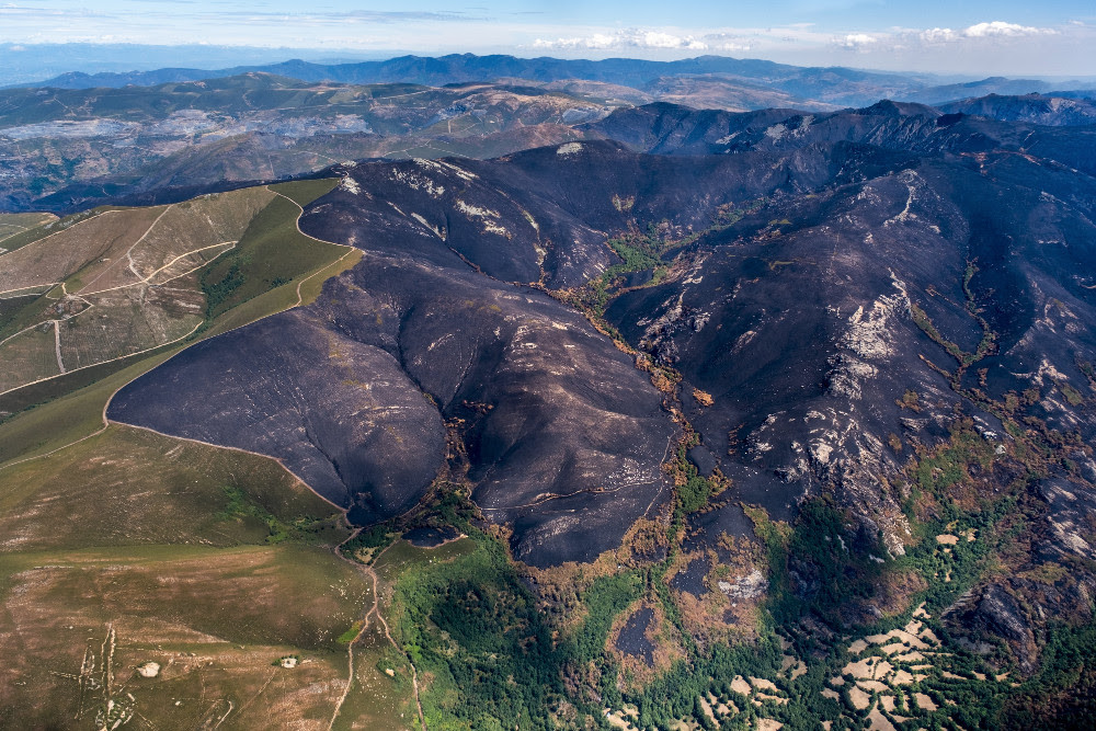 Peña Trevinca, Serra do Eixe y Segundeira, entre Ourense y Zamora. Es el techo de Galicia y de la provincia de Zamora. El fuego ha calcinado zonas de alto valor ambiental de la Red Natura 2000.