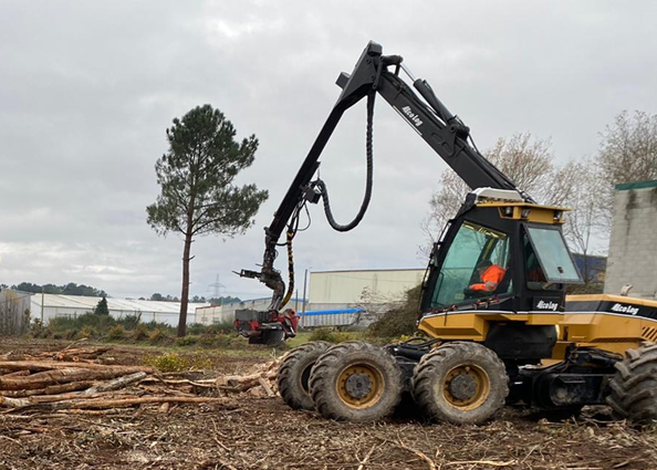 Accidente laboral en Riotorto: muere un trabajador atrapado por una procesadora forestal