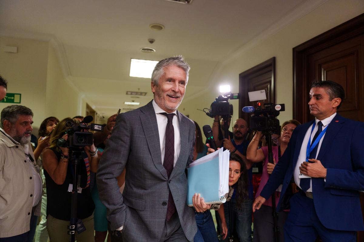 El ministro de Interior, Fernando Grande-Marlaska, comparece en el Congreso de los Diputados para hablar de los incendios forestales