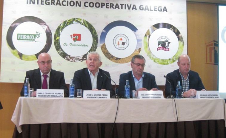 ​Catro cooperativas galegas queren integrarse nun grupo lácteo