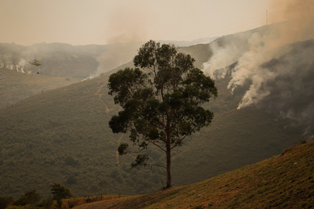 Efectivos aéreos de los bomberos durante las labores de extinción del incendio de Avión en Ourense