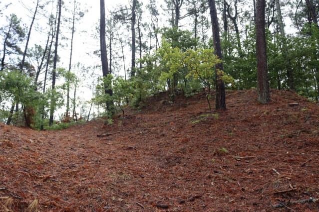 Excavación arqueológica en la fortaleza de As Torres en Tomiño (Pontevedra)