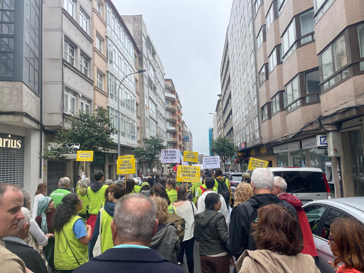 Manifestaciu00f3n contra los incendios en Santiago de Compostela