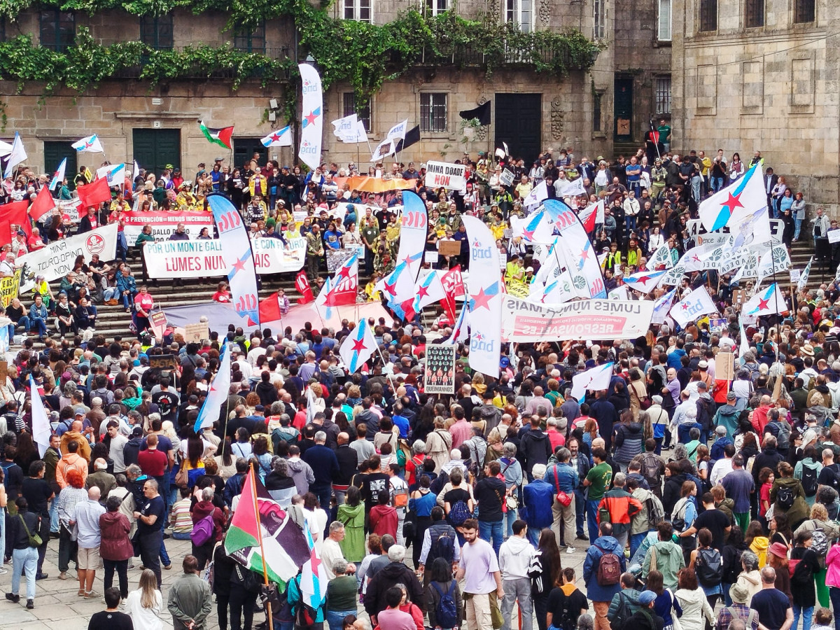 Manifestación de Por un Bosque Galego con futuro en una imagen de la Praza da Quintana