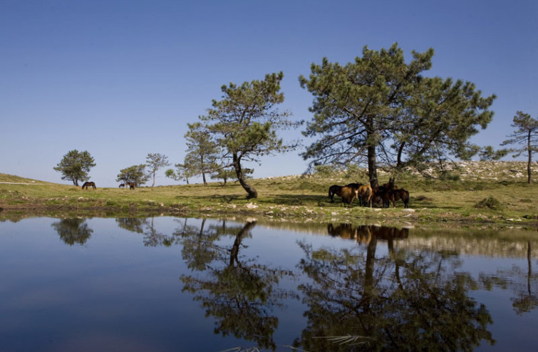 Ecoloxistas en Acción disecciona la Red Natura 2000 en Galicia, 