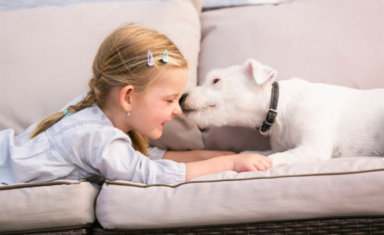 ​Tener mascotas reduce el riesgo de alergias y obesidad en la infancia
