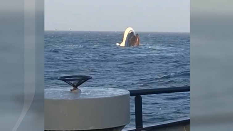 El siniestro en Mauritania entre el Tafra 3 y el Right Whale se produjo porque 