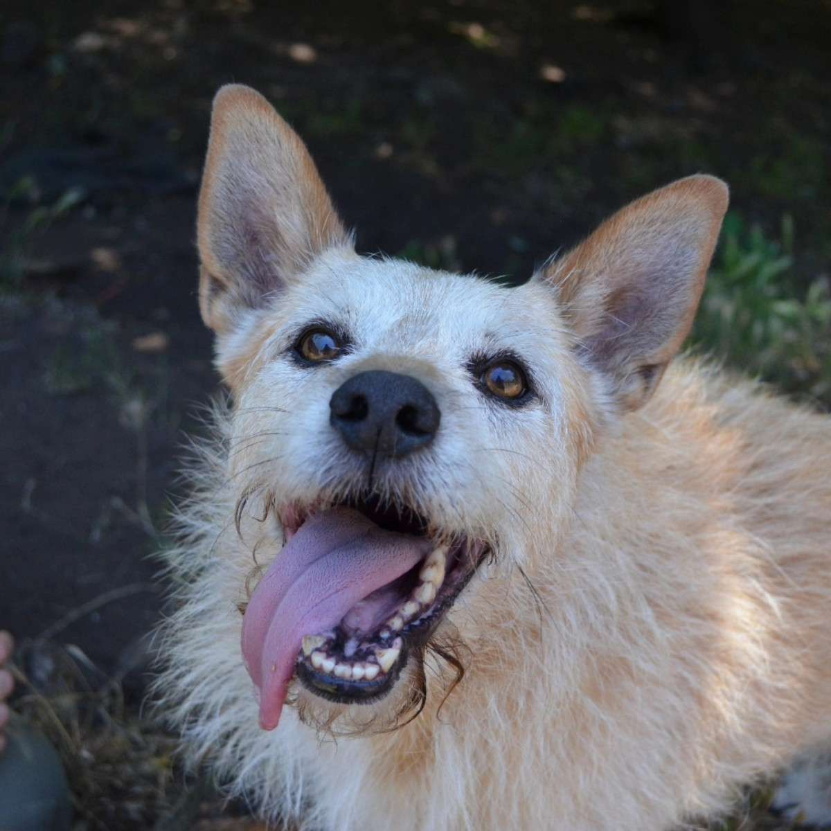 525812724 1037341465227682 2122210695667918098 n