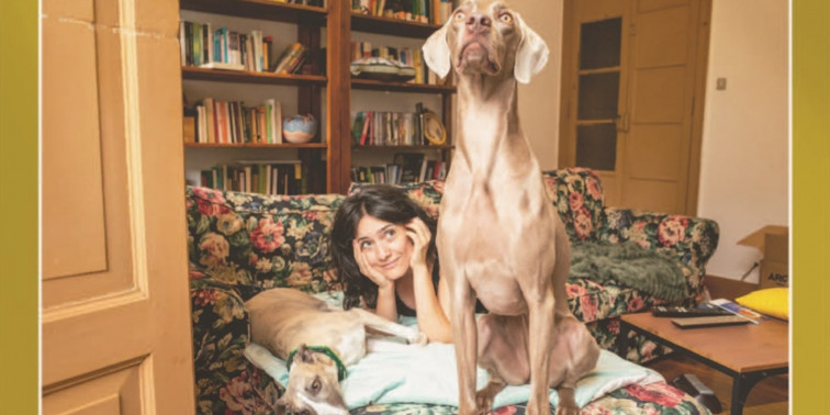 El Corte Inglés y Gatocan, de la mano en el calendario solidario para dar hogar a los animales del refugio