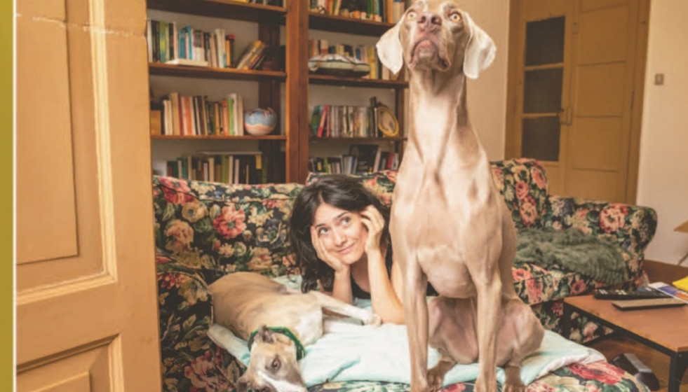 Coruña calendariogatocan 1920x960