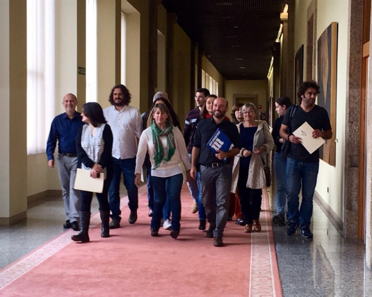 En Marea reparte as áreas de traballo na Cámara