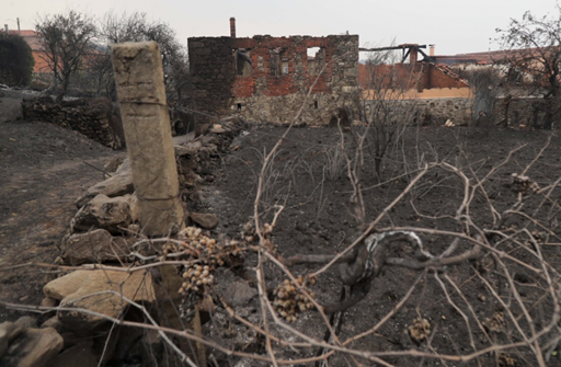 La Ribeira Sacra es la zona más conflictiva de los incendios y un desafío para su extinción en el cañón del Sil