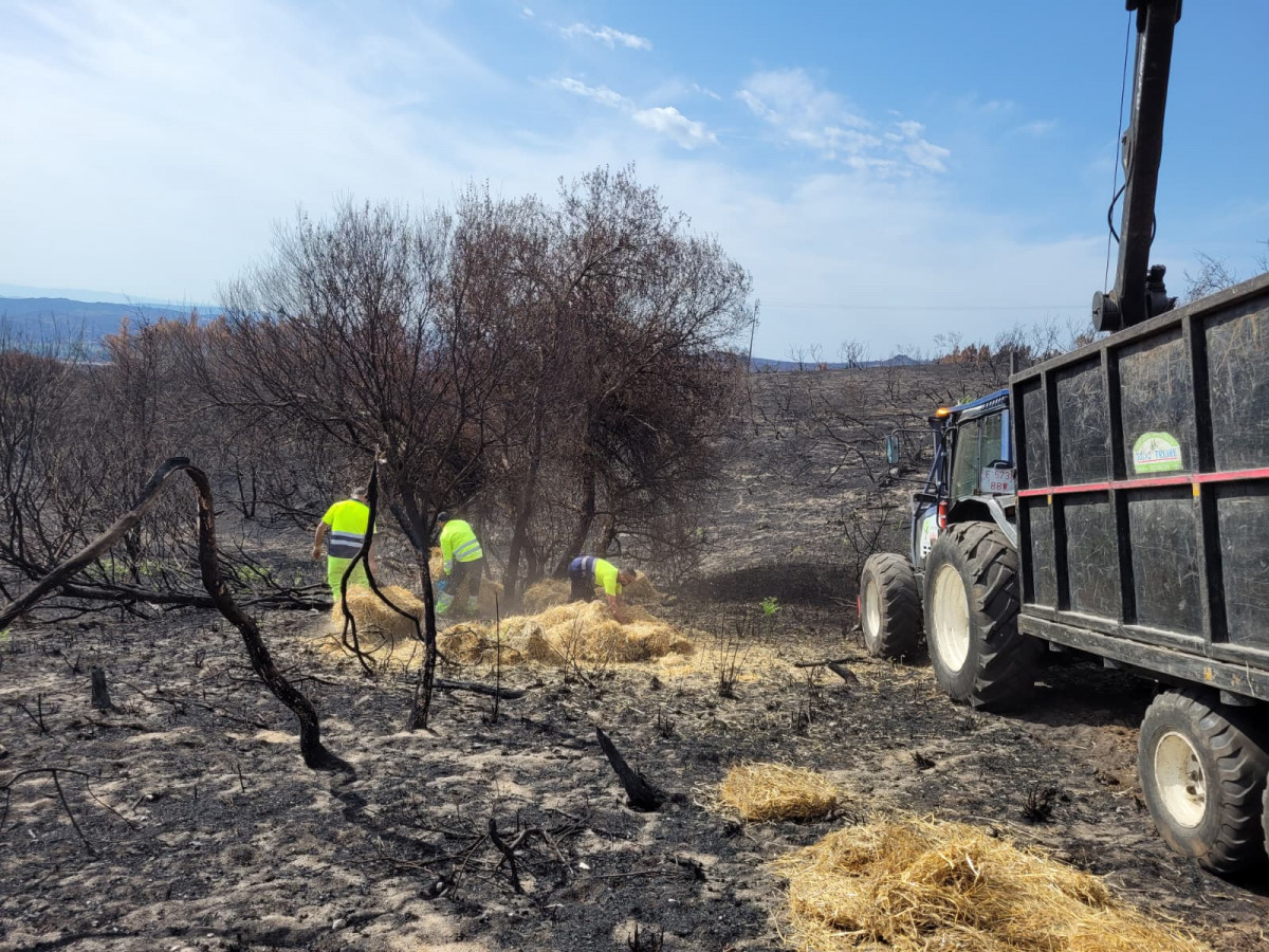 Distribuciu00f3n de alimento a la fauna silvestre tras los incendios en una imagen de la Xunta