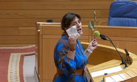 Imagen de una diputada del BNG durante el pleno de este martes.