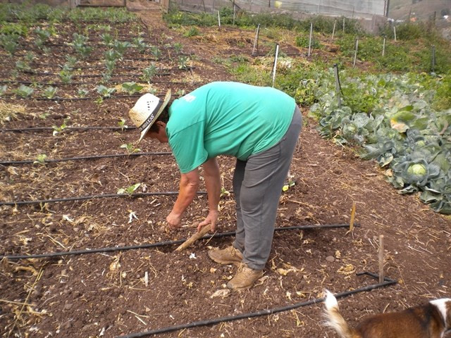 Ruralmujerhuertacampoagricultura