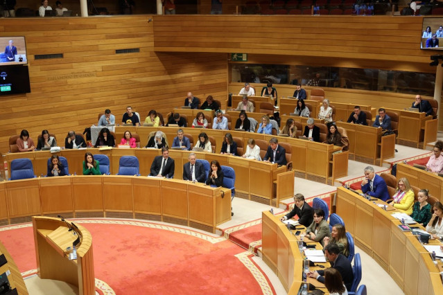 Pleno del Parlamento