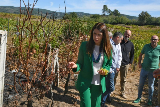 La conselleira do Medio Rural, María José Gómez, visita el ayuntamiento ourensano de Beade para revisar algunas de las zonas de viñedo afectadas por los incendios