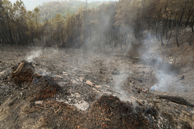 Zonas calcinadas por el incendio de Pontón durante la realización de labores de extinción del incendio de Pantón, a 22 de septiembre de 2025, en Pantón, Lugo.