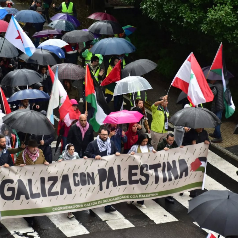 Manifestación 'Galicia Con Palestina' en Santiago contra el genocidio en Gaza