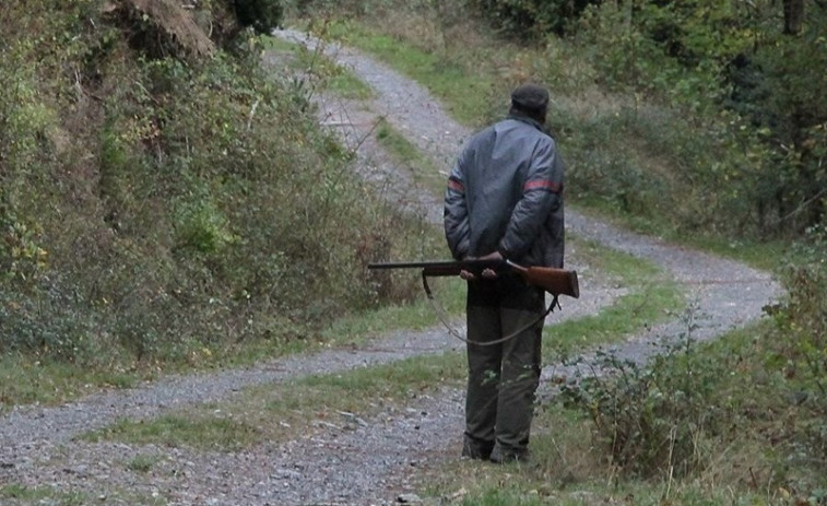 Más 30 sistemas ilegales de caza solo en la provincia de A Coruña