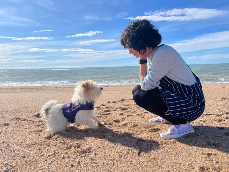 Cuando el olfato salva vidas: como los perros de alerta socorren a personas con diabetes o epilepsia