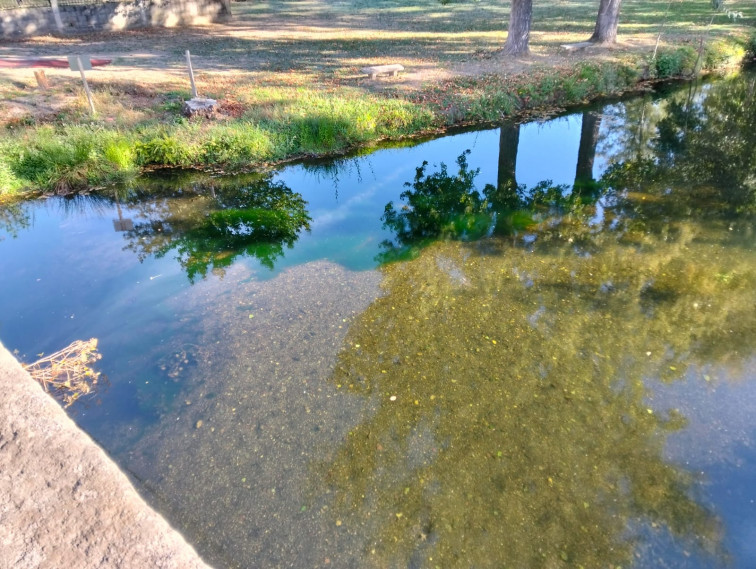 Una extraña alga invade el Támega y preocupa a los vecinos de los municipios que atraviesa el río