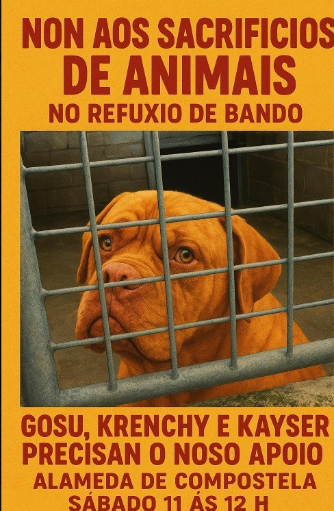 Cartel de protesta contra el sacrificio de tres perros del refugio de Bando
