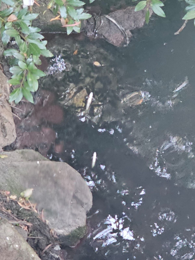 ¿El culpable del vertido en el Sar? Santiago, dice la Xunta; Acuaes, dice el Ayuntamiento