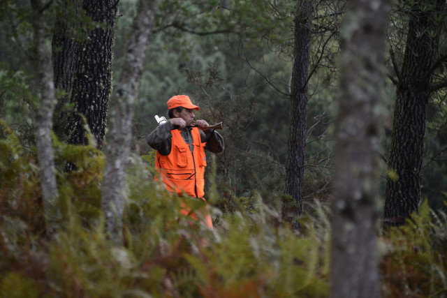 Archivo - Un hombre caza en los montes de Cameixa, a 12 de octubre de 2024, en Boborás, Orense, Galicia (España).