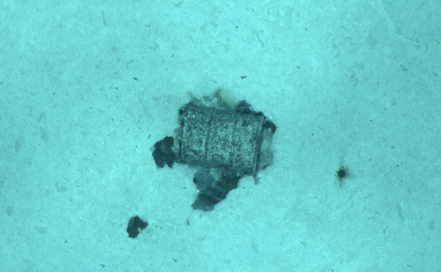 Archivo - Un bidón con residuos radiactivos en la Fosa Atlántica