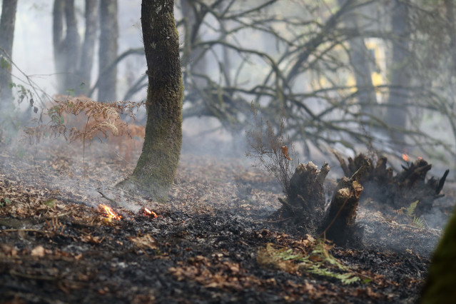 Zonas calcinadas por el incendio de Pontón durante la realización de labores de extinción del incendio de Pantón, a 22 de septiembre de 2025, en Pantón, Lugo (España).