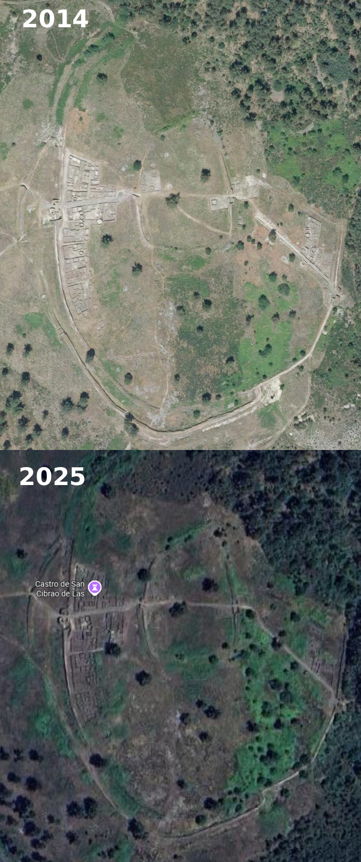 Comparativa entre una imagen de 2014 y otra de 2025 en la que se aprecia el avance de la maleza en el castro de San Cibru00e1n das Las