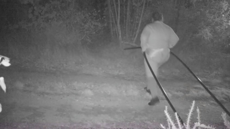 Investigan a cuatro mujeres 