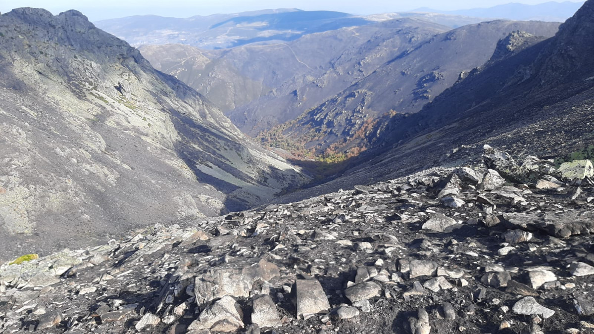 3 WhatsApp Image 2025 10 25 at 12.03.30 PM