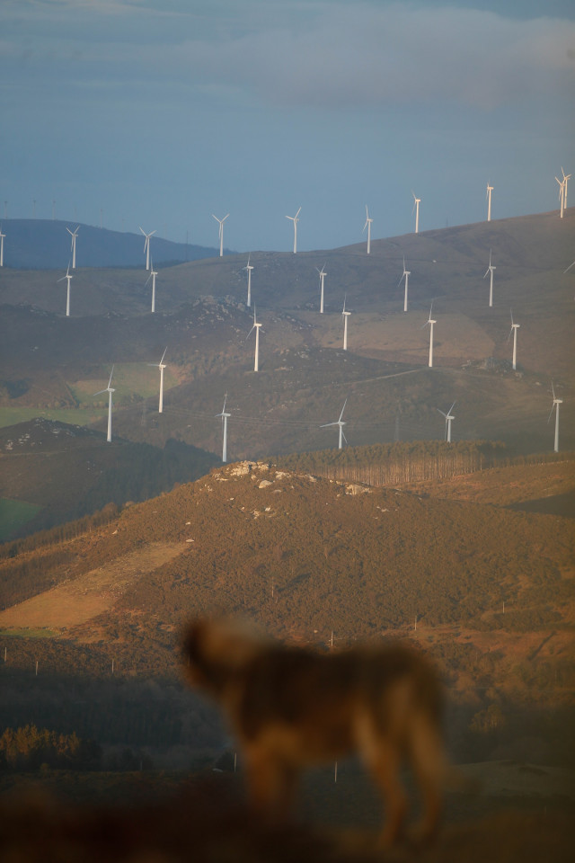 Archivo - Un parque eólico, en Muras, Lugo.