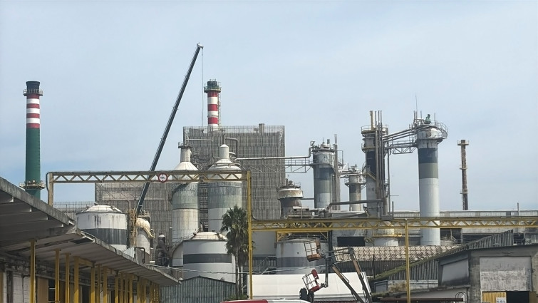 Rueda, del proceso de despido colectivo de Ence: 