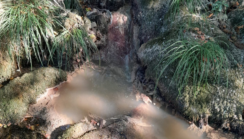 Photo 2025 10 15 19 27 28