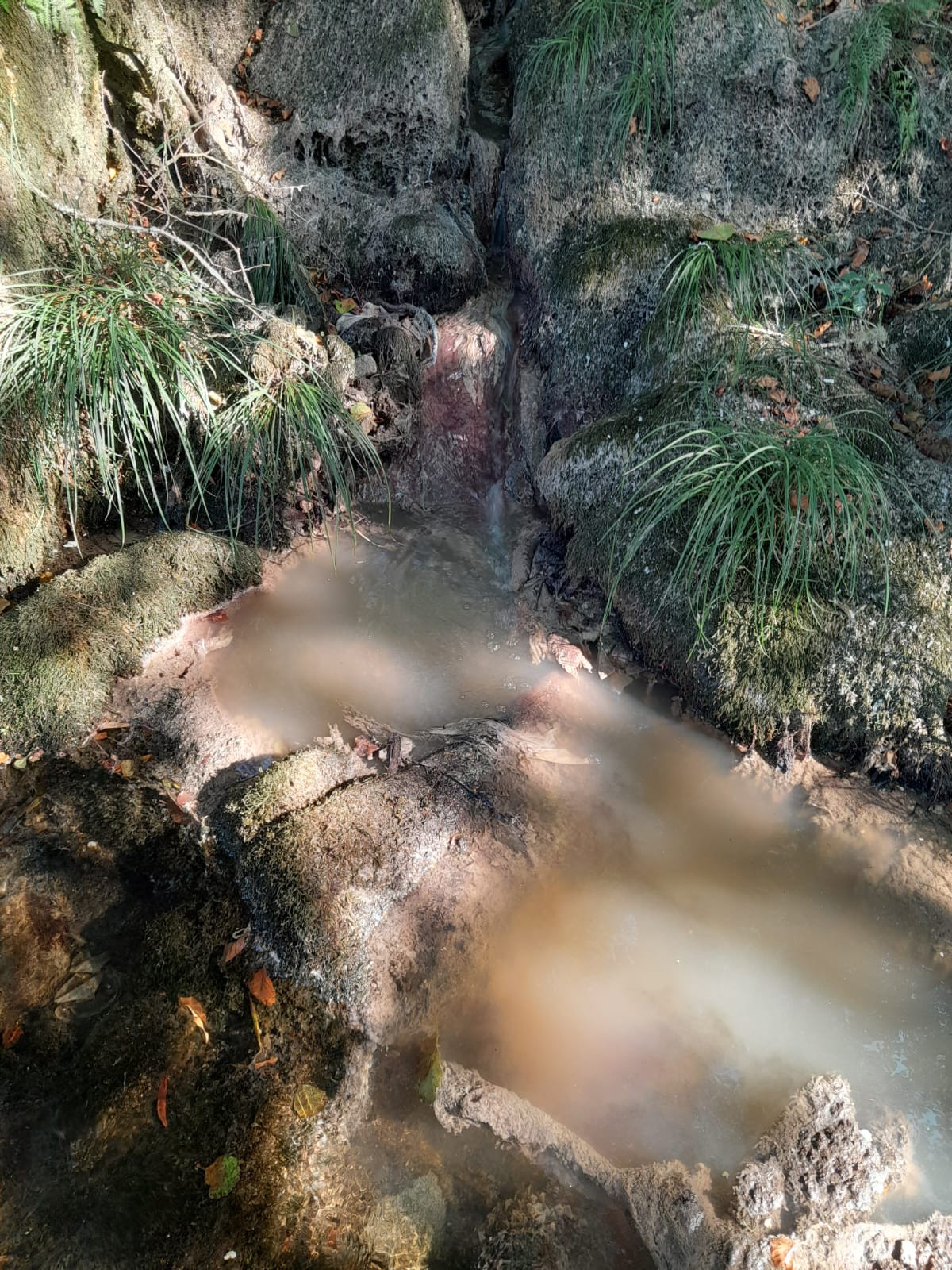 Photo 2025 10 15 19 27 28