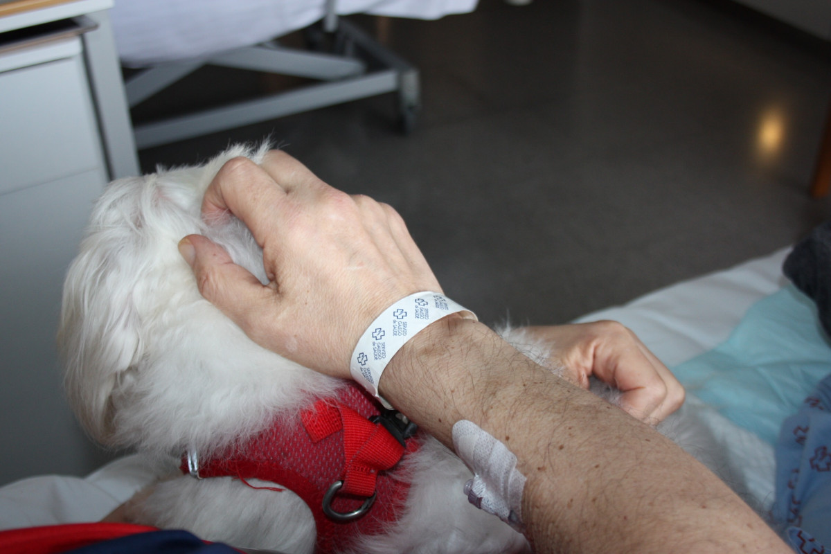 Paciente de la Unidad de Cuidados Paliativos del Hospital Marítimo de Oza, en A Coruña, junto a su mascota.