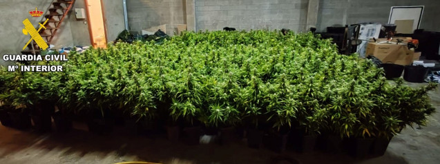 Plantación 'indoor' de marihuana localizada por la Guardia Civil en el entorno de Santiago, en el marco de la Operación Smell, que acabó con 6 detenidos.
