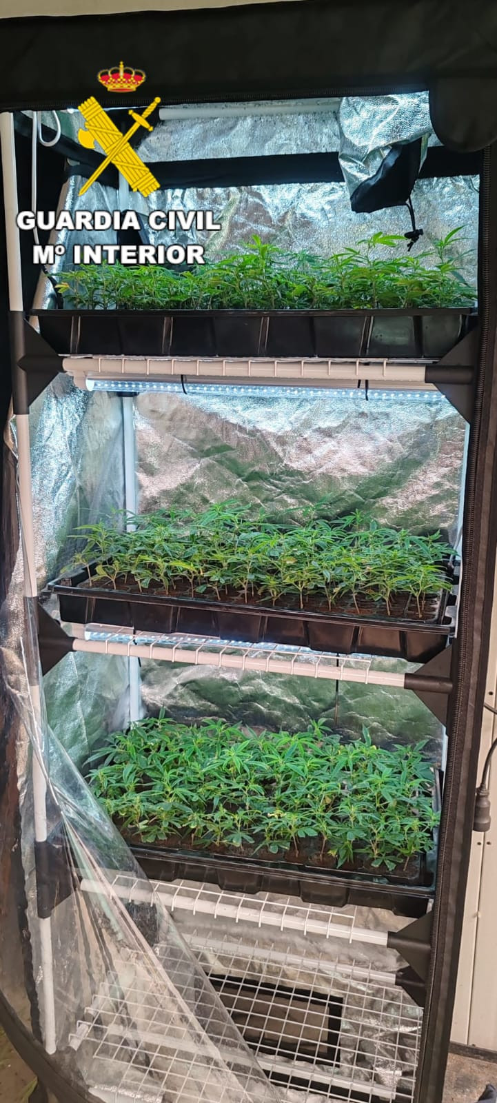 WhatsApp Image 2025 11 11 at 9.03.16 AM