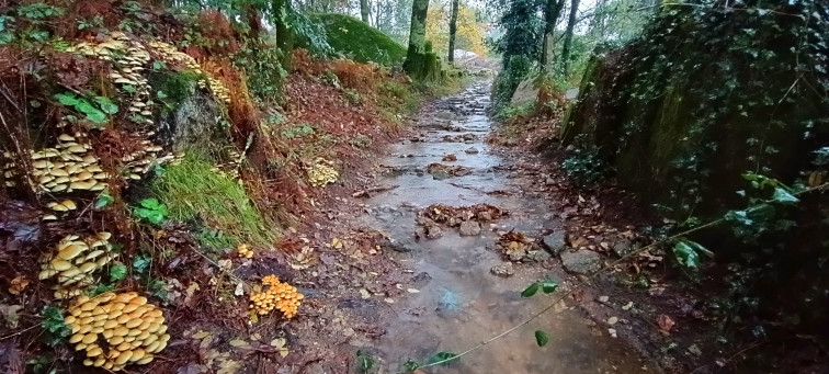Riesgo de inundaciones en varias comarcas de Galicia ante nuevas lluvias durante el fin de semana