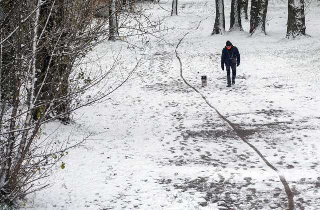 Archivo - Un hombre pasea a su perro en un parque cubierto de nieve.