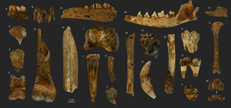 De cuando los gallegos peleaban con lobos por comer rebeco, así es el yacimiento de Valdavara, Becerreá
